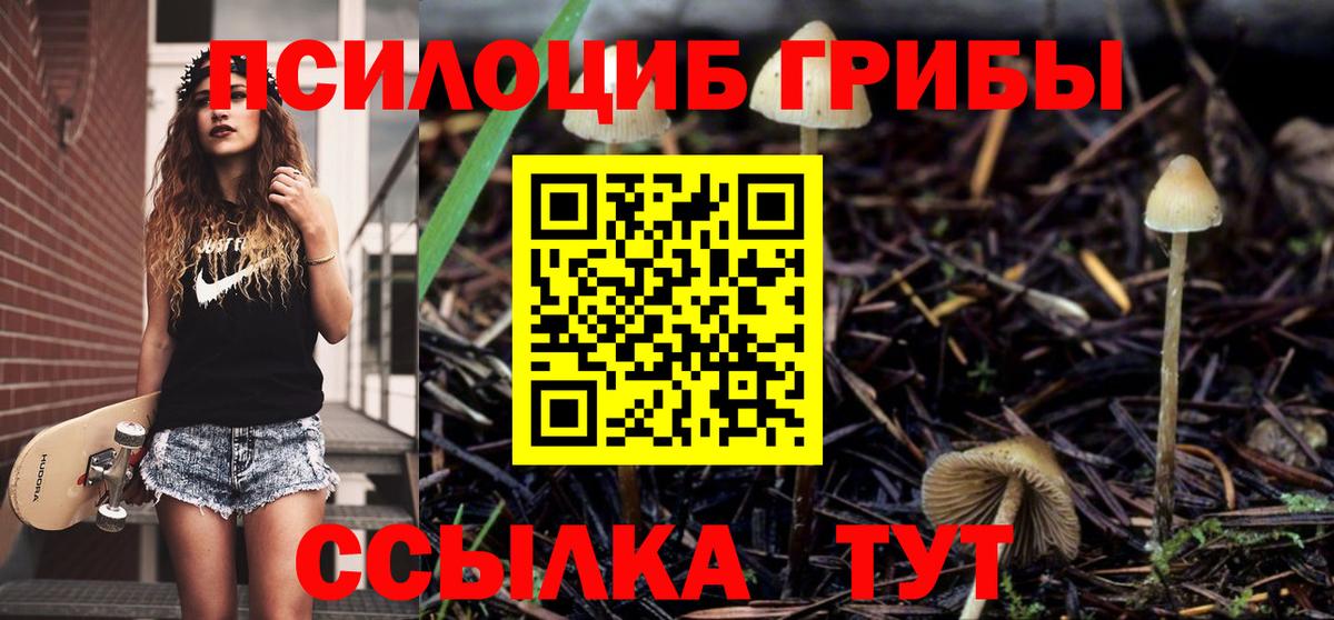 Псилоцибиновые грибы Cubensis  Вход с VPN  Псилоцибиновые грибы мицелий  Ялта 